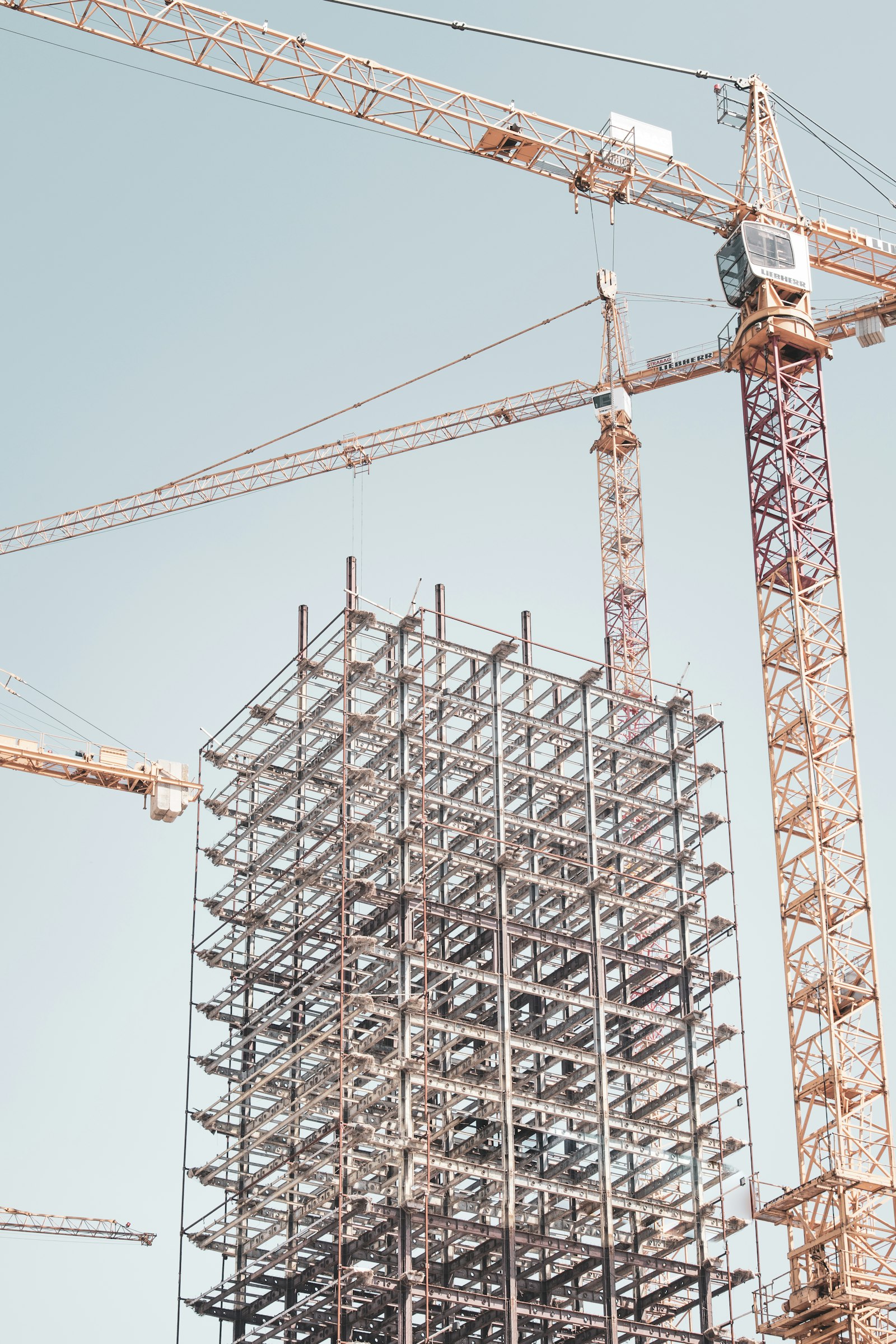 Steel building frame under construction beside a tower crane